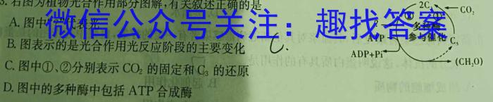 甘肃省天水市麦积区某校2024-2025学年第一学期九年级暑期测试卷数学