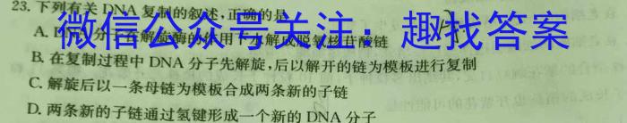 安徽省2025届七年级下学期教学评价三数学