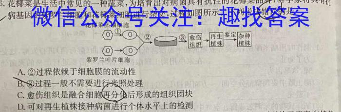 2023年普通高等学校招生全国统一考试精品预测卷(三)数学