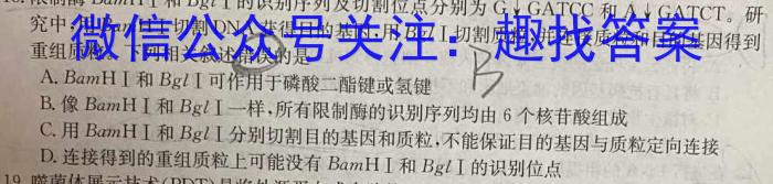 安徽省2024-2025学年度第一学期七年级作业辅导练习（三）数学