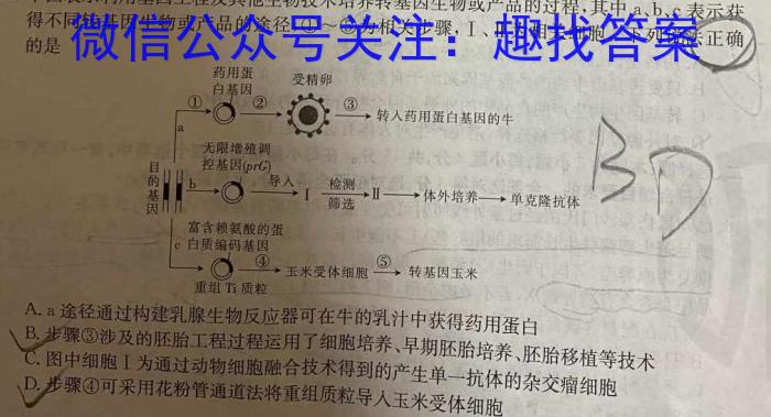 2023年安徽A10联盟高二6月联考数学