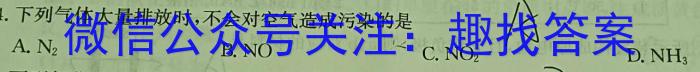 2023年湖南省普通高中学业水平考试仿真试卷(合格性考试)(第四次考试)化学