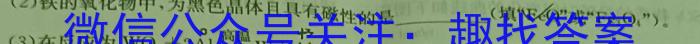 安徽省芜湖市无为市2024-2023学年度八年级第二学期期末学业发展水平检测化学