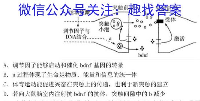 安徽省2023-2024学年度九年级秋学期第三次质量检测数学