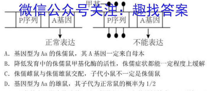 2023-2024衡水金卷先享题高三一轮周测卷新教材英语必修一Unit2周测(2)数学