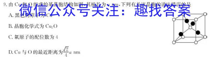 2023年广西三新联盟高二年级5月联考化学