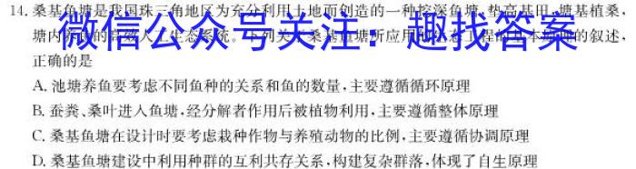 河南省洛阳创新发展联盟2024届高三阶段性检测(23-583C)数学