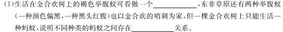 2022-2023学年青海省高二7月联考(标识♥)数学考试