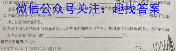 乌鲁木齐市第四中学2022-2023学年度下学期高一年级阶段性诊断测试语文