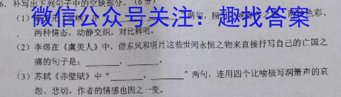 广西省柳州市校际联盟高一年级期末考试(23-577A)语文