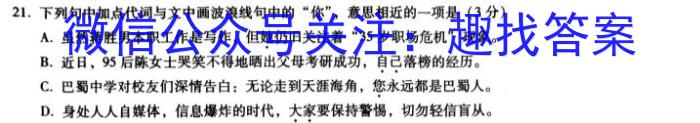 2023届河南省高三年级5月联考（6001C·HEN）语文