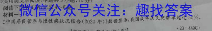 文博志鸿 2023年河北省初中毕业生升学文化课学情反馈(冲刺Ⅱ型)语文