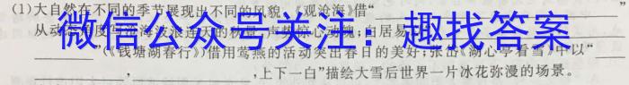 2023届陕西省第十一次模拟考试语文