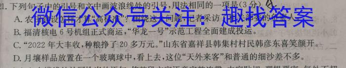 耀正文化(湖南四大名校联合编审)·2023届名校名师测评卷(九)9语文