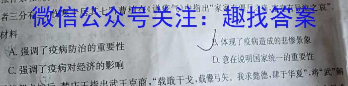 2023年“万友”中考突破卷（三）历史