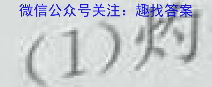 2023年山西省中考信息冲刺卷·压轴与预测（二）化学