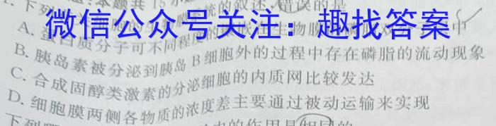 安徽省淮南市2023-2024学年度第二学期期中学情检测八年级试题卷数学