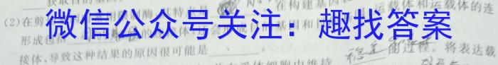 晋一原创测评 山西省2022~2023学年第二学期八年级期末质量监测数学