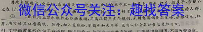 咸宁市2022-2023学年度下学期高二年级高中期末考试语文