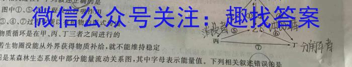 河北省2023-2024学年第一学期九年级期中学情质量检测数学