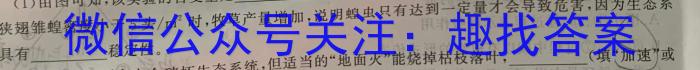 安徽省芜湖市弋江区2022-2023学年度七年级第二学期期末评价数学