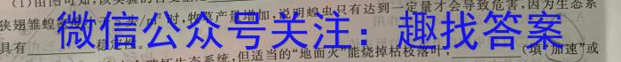 2024届衡水金卷先享题调研卷(JJ)(二)2数学