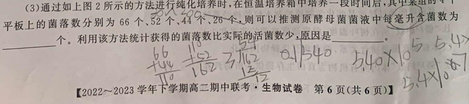 衡水金卷先享题2023-2024年高三一轮周测卷5数学考试