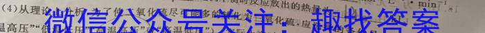 江西省2023年第二次初中学业水平模拟考试（5月）化学