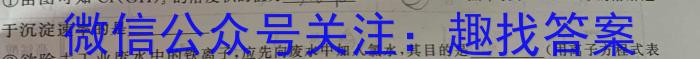 2023年安徽省初中学业水平考试冲刺试卷（二）化学