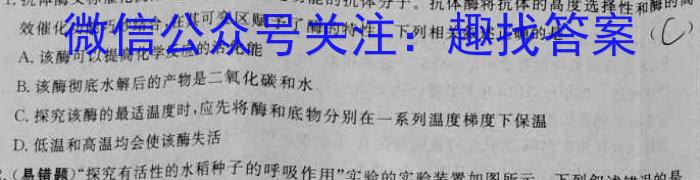 2024-2025学年怀仁一中高三年级摸底考试数学