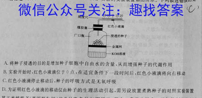 安徽省2023年中考导航总复习三轮模拟（三）数学