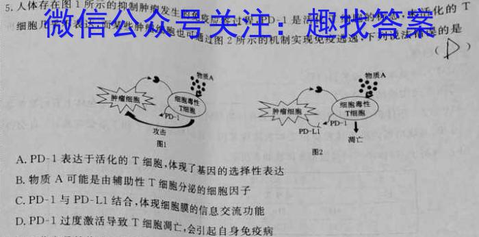 河南省2023-2024学年七年级第一学期学习评价（2）数学