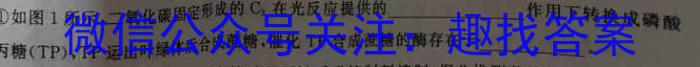 山东省2023-2024学年度高一年级12月联考数学