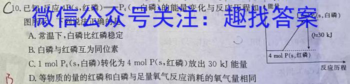 2023年陕西省初中学业水平考试·信息卷B化学