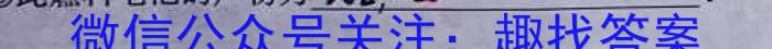 023年陕西省初中学业水平考试信息卷(B)化学"