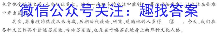 亳州一中2023届高三年级高考冲刺卷语文