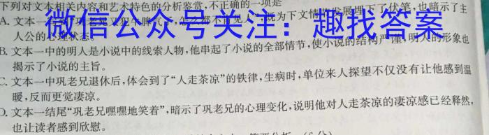 河南省2023年春季学期高二年级7月质量检测语文