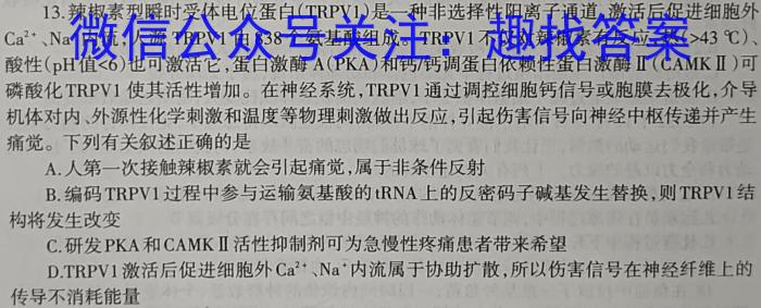 2024年普通高等学校招生全国统一考试名校联盟压轴卷(T8联盟)(二)数学