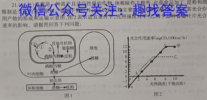 九师联盟 2024届高三4月质量检测数学