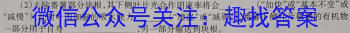 贵州省2024届高三10月联考（10.28）数学