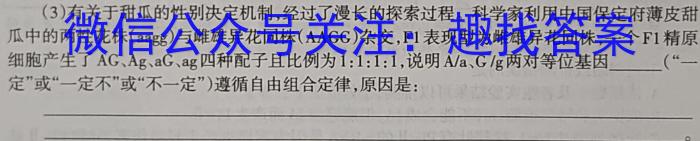 贵州省2024届高三适应性考试(2024年4月)数学