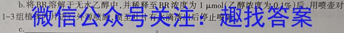 文博志鸿·2024年河北省初中毕业生升学文化课模拟考试（经典一）数学