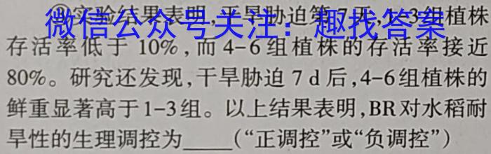 [潍坊一模]2024届潍坊市高考模拟考试(3月)数学