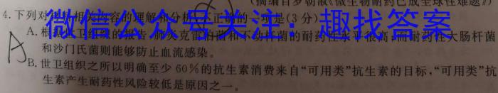 文博志鸿 2023年河北省初中毕业生升学文化课模拟考试(冲刺一)语文