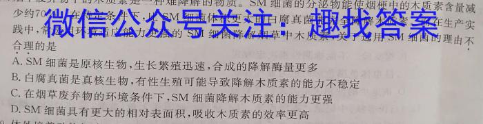 山西省2024年中考第二次调研考试数学
