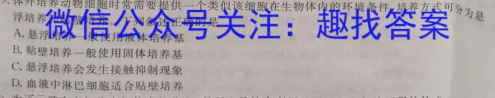 学林教育 2023~2024学年度第一学期九年级期中调研试题数学