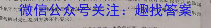 2023年河北省初中毕业生升学文化课模拟测评(十二)数学