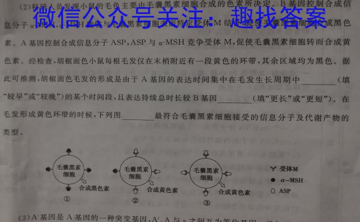 山西省运城市2023-2024学年高一年级第二学期期末调研测试(2024.7)数学