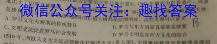 安徽省亳州市利辛高级中学2022~2023学年高二年级第三次月考(232687Z)政治试卷d答案