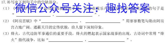 安徽省合肥八中2023届保温卷(5月)语文